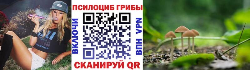Галлюциногенные грибы Cubensis  Грязовец 